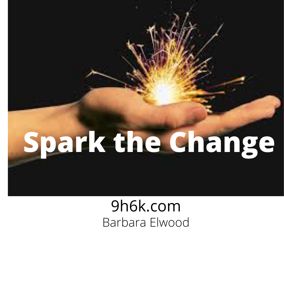 Barbara's Spark for Change
